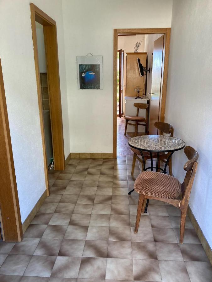 Mimoza Apartment *