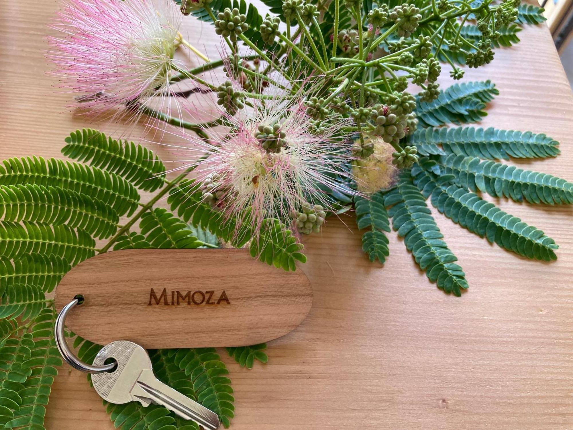Mimoza Apartman Komiza